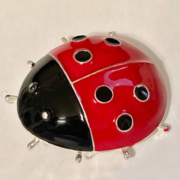 Red Ladybug Pendant Necklace Pin Brooch Enamel 22" Black Cord Insect Bug Big - Picture 4 of 12